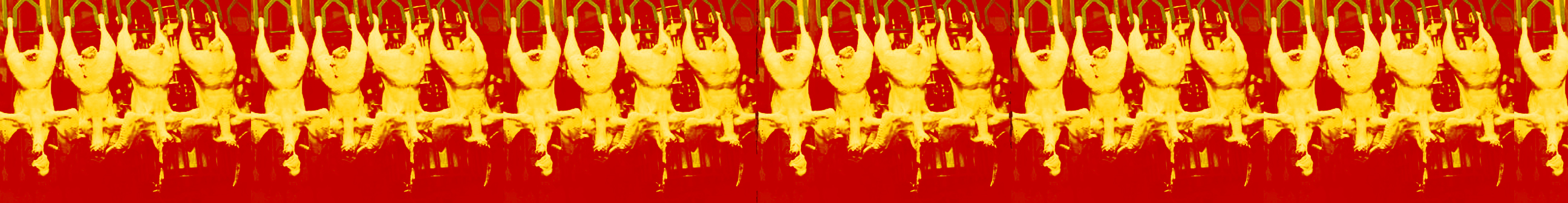chicken2-copy